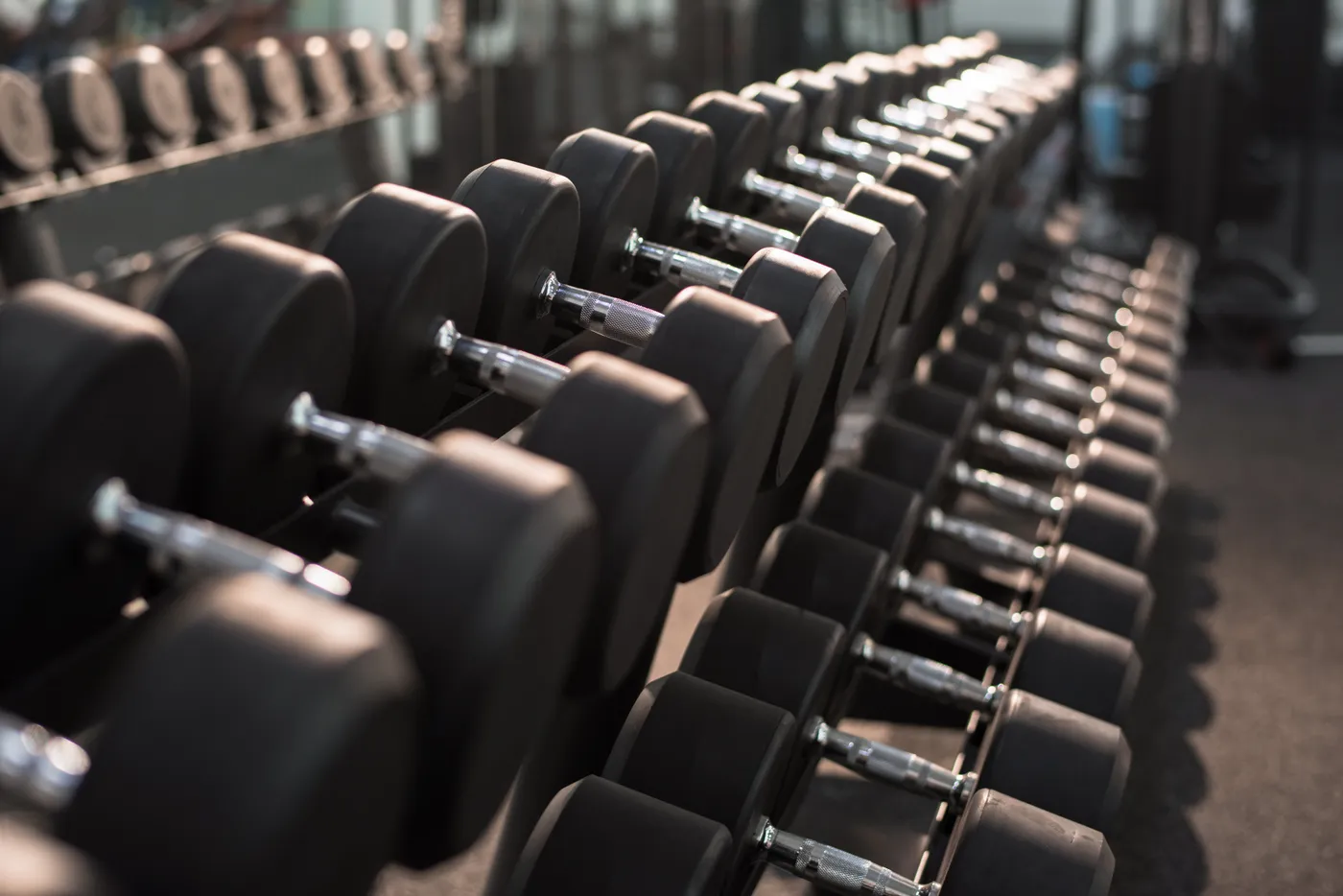 Training Studio vs Home Gym